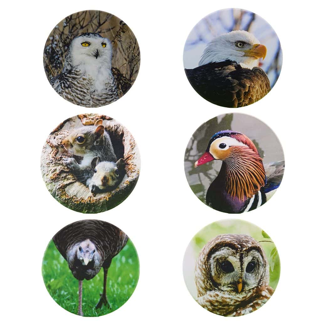 Coaster Set featuring six images.