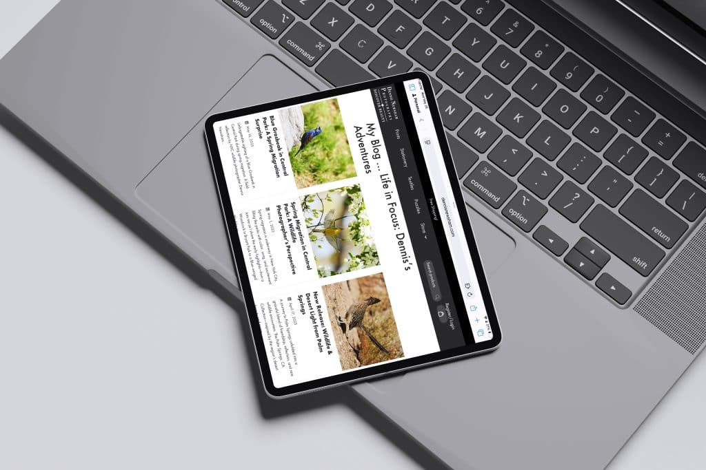Dennis Newsham Blog on iPad