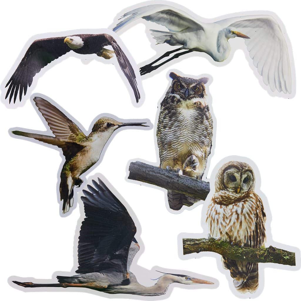 Set of Six Magnets