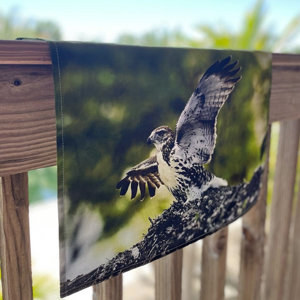 Red-tailed Hawk Tea Towel Promotional Photo Dennis Newsham