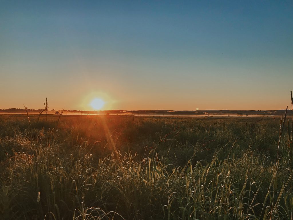 Sunrise at Shawangunk Grasslands National Wildlife Refuge Phot by Dennis Newsham
