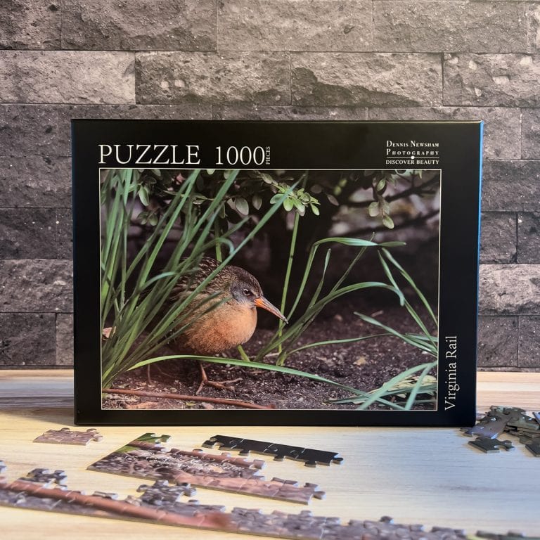 Virginia Rail Traditional Puzzle by Dennis Newsham