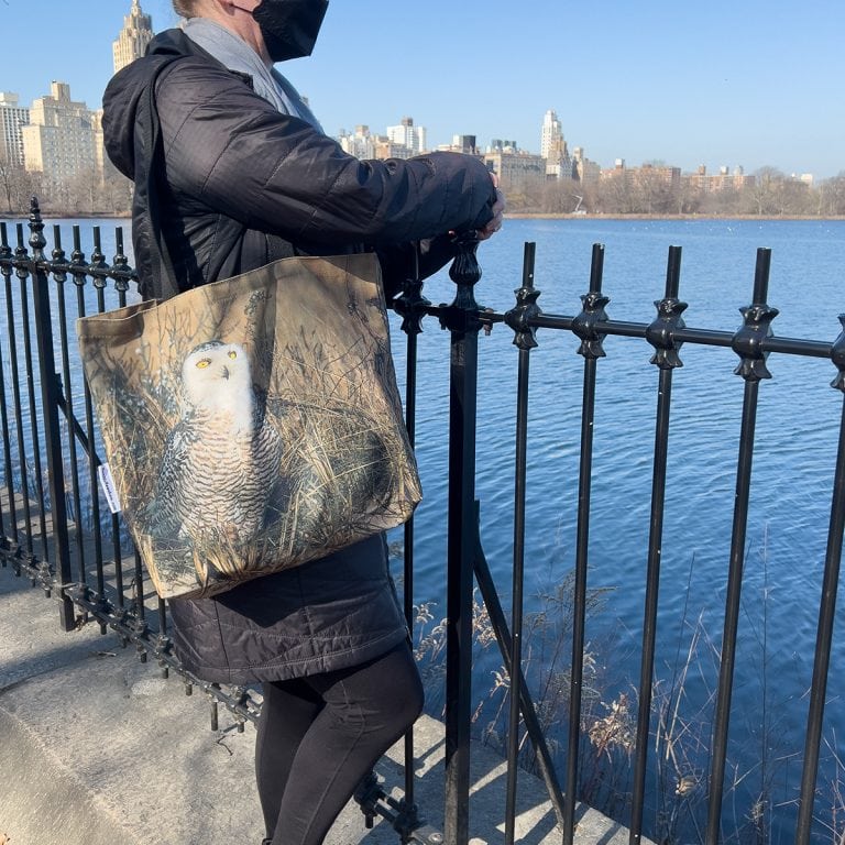 Snowy Owl Canvas Bag by Dennis Newsham