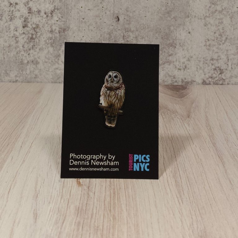 Barred Owl from Fla Lapel Pin