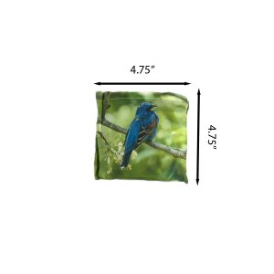 Blue Grosbeak reusable bag folded 4.75 x 4.75 inches – pocket-sized wildlife design