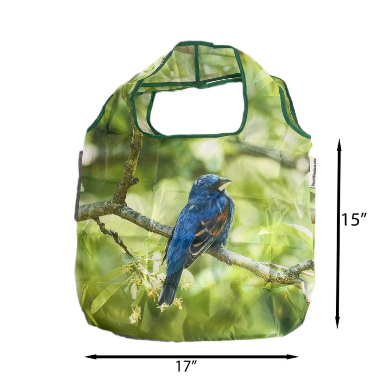 Blue Grosbeak reusable shopping bag – Central Park NYC bird photography by Dennis Newsham