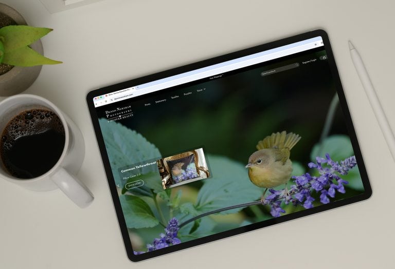 DennisNewsham.com snap shot on an iPad on a desk featuring a Yellowthroat product annocument