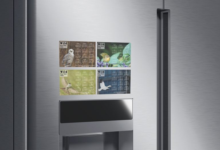Wild New York 2026 Calendar Magents on a Fridge Set of 4