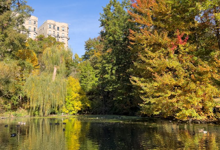 The Pool in the Fall at Central Park, NYC