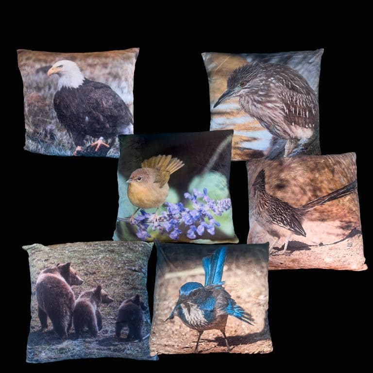 Wildlife Pillow Covers 2.0 Ultra Soft by Dennis Newsham