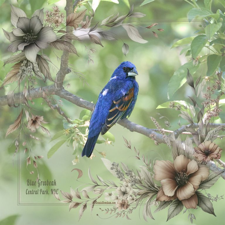 Blue Grosbeak Scarf by Dennis Newsham Product Shot