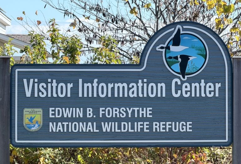 Edwin B. Forsythe Vistor Center NJ Sign Autumn Road Trip 2025
