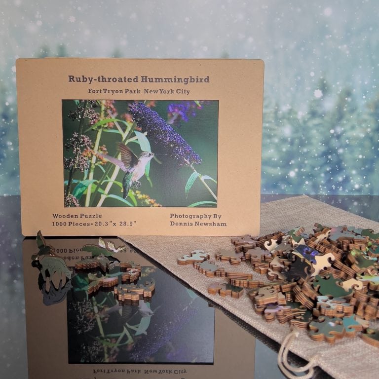 Ruby-throated Hummingbird Puzzle Product shot by Dennis Newsham