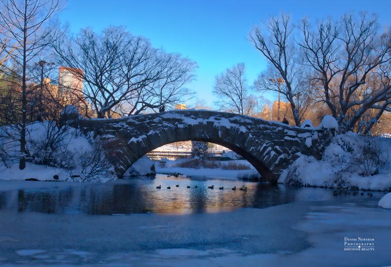 Gapstow Bridge in Winter covered with snow Central Park