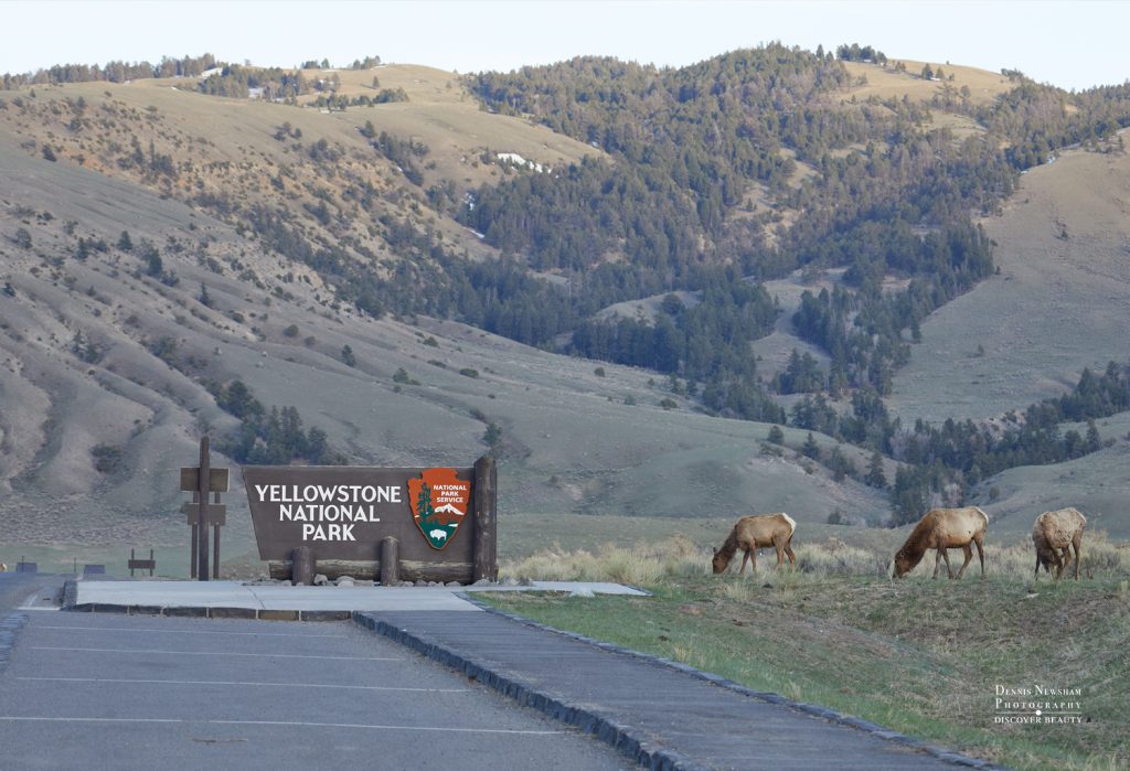 Yellowstone National Park entrance sign
