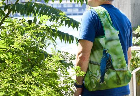 Blue Grosbeak reusable bag being worn outdoors during spring migration