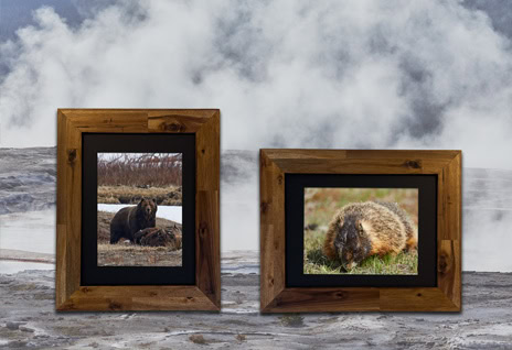 Yellowstone National Park Framed Prints