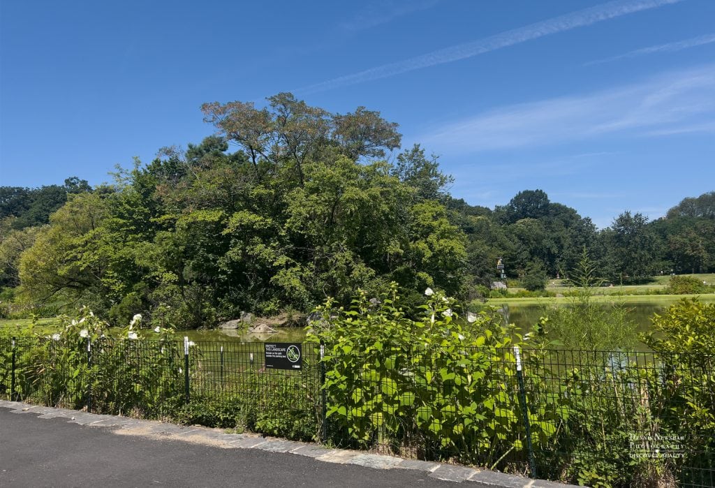 The Harlem Meer in Central Park, NYC 2026