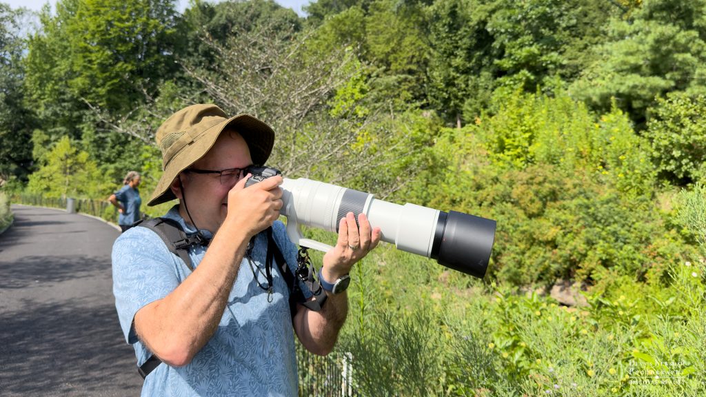Dennis Newsham photographing wildlife in Central Park, New York City
