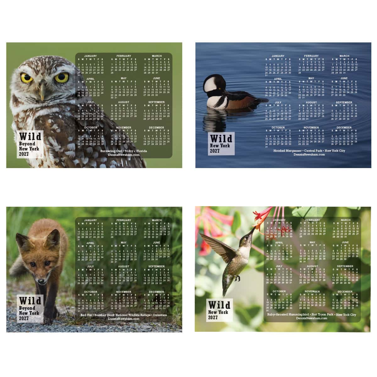 Four 2027 wildlife calendar magnet designs featuring photography by Dennis Newsham